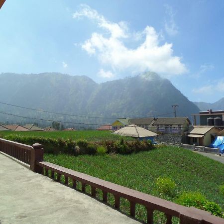 Tengger Indah Homestay برومو المظهر الخارجي الصورة
