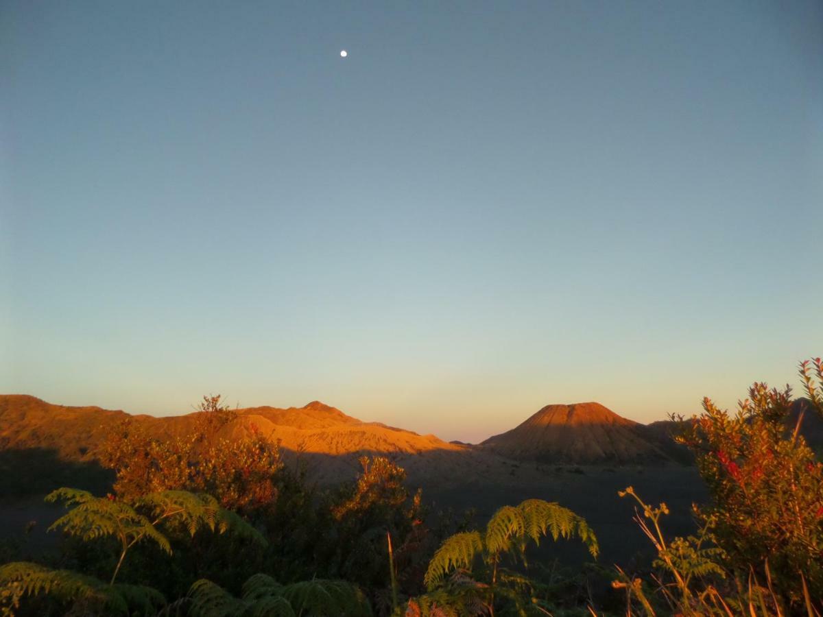 Tengger Indah Homestay برومو المظهر الخارجي الصورة